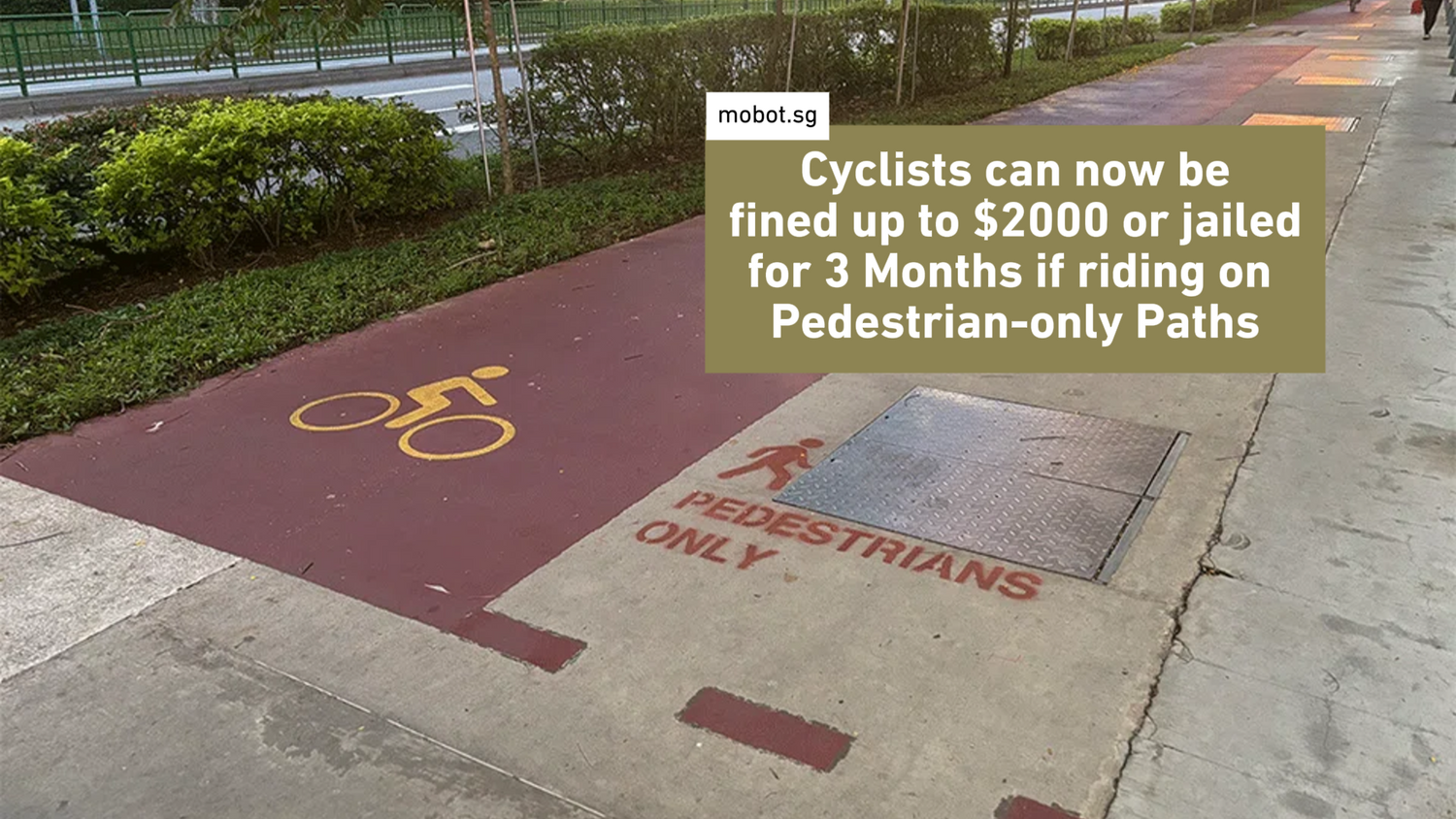 2025 Cycling Path Rule: Cyclists Can Be Fined Up to $2,000 or Jailed for 3 Months